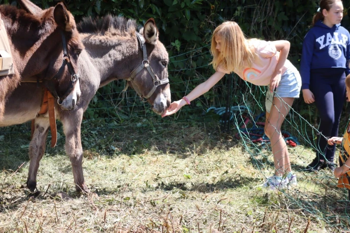 Rencontre avec animaux événement