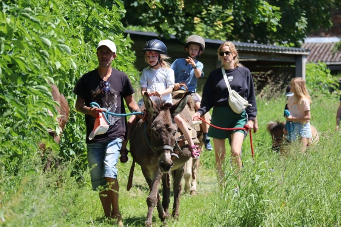 Découverte des ânes et poneys kids day