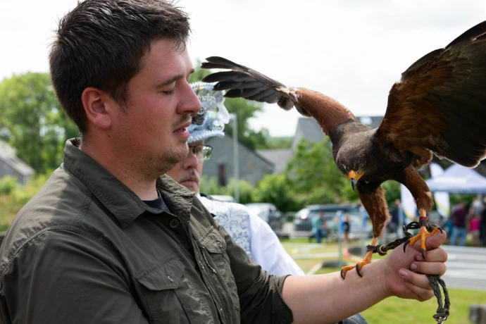 Rapace événement pour enfants Belgique