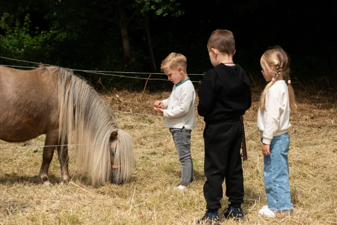 Balades en ânes et poneys lors d'un kids day
