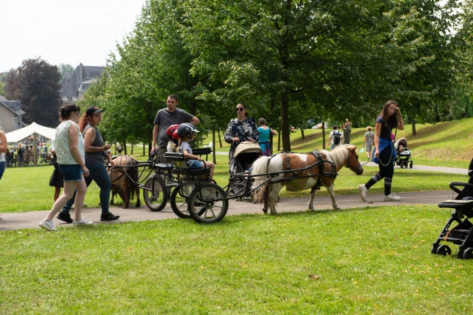 Balades en calèche pour enfants